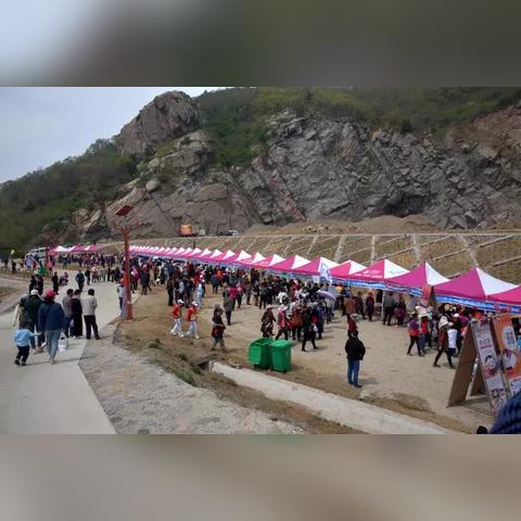 石岛码头鲅鱼最新价格动态及市场分析